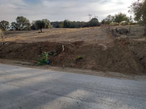 Vente Terrain Tlemcen Chetouane
