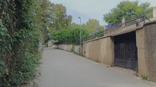 Vente Terrain Alger El biar