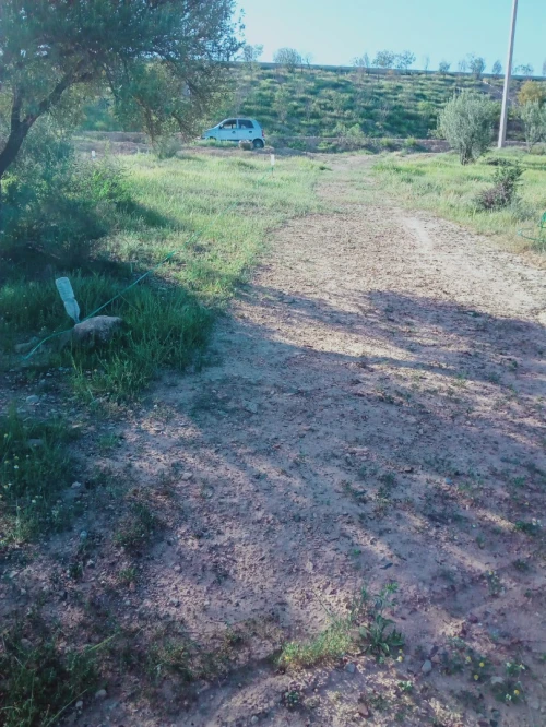 Vente Terrain Bouira Ahnif