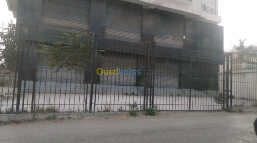 Location Local Alger Chevalley