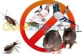 dératisation désinsectisation 3D