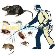 dératisation désinsectisation 3D