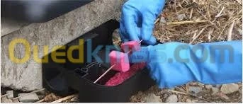 dératisation désinsectisation 3D