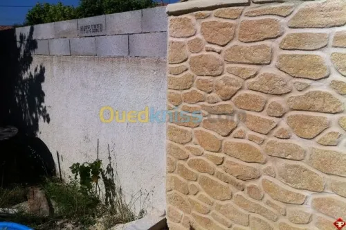 Peinture  décorative 