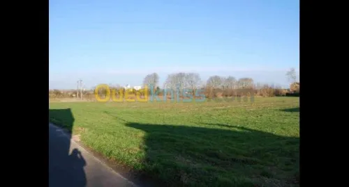 Vente Terrain Alger Bab ezzouar