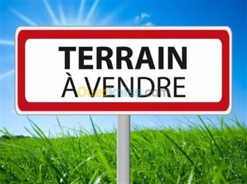 Vente Terrain Alger Bab ezzouar
