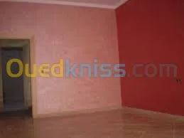 Pantre marocain profisionelle