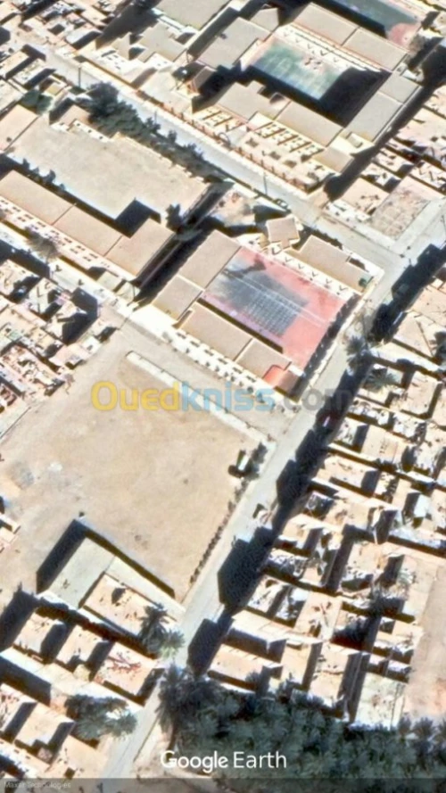 Vente Terrain Biskra Biskra