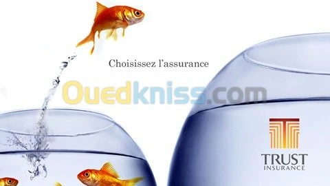 Assurances toutes Branches
