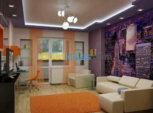 Séparation et décoration placo platre