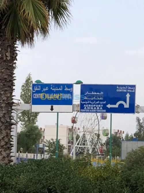 Location Immeuble Tebessa Tebessa