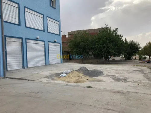 Location Immeuble Tebessa Tebessa