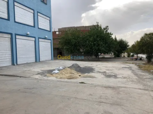 Location Immeuble Tebessa Tebessa