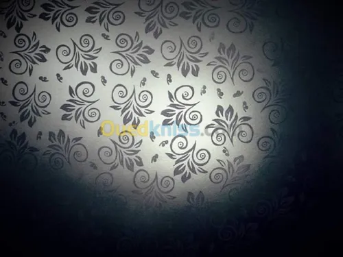 Dècoration modern de la penture