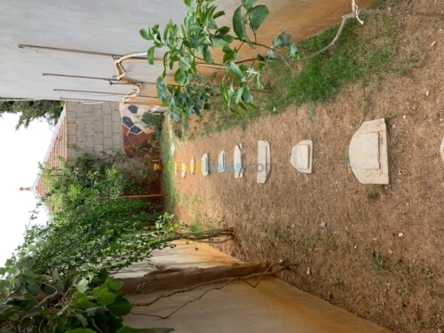 Vente Villa Medea Medea