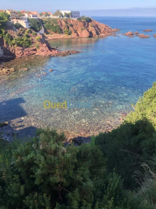 Location Villa Tipaza Tipaza