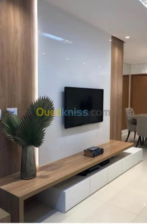 Plafond placo plâtre BA13 & PVC p