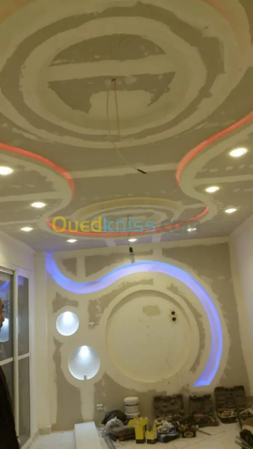 Plafond placo plâtre BA13 & PVC p