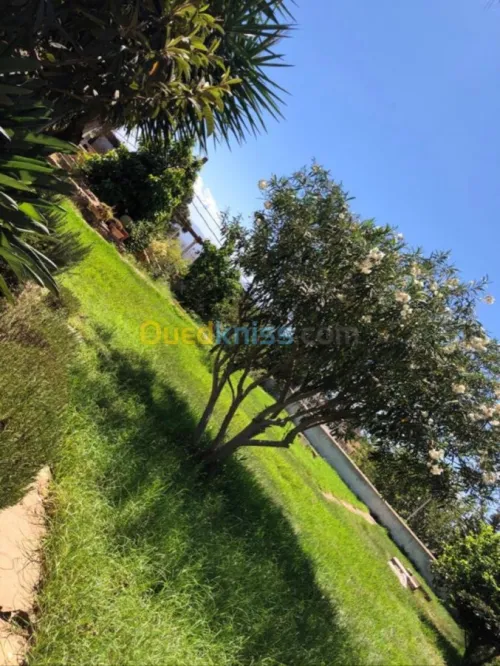 Location Villa Alger Hydra