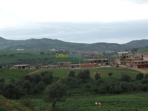 Vente Terrain Jijel Kaous