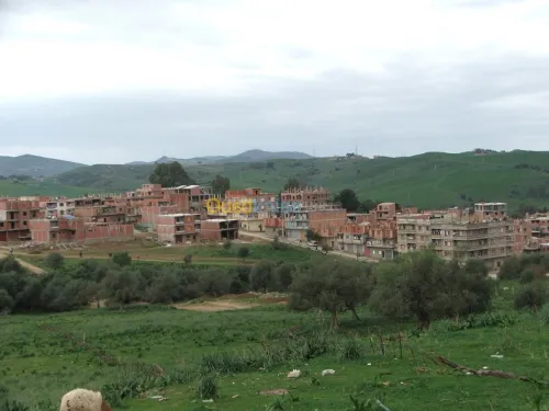 Vente Terrain Jijel Kaous