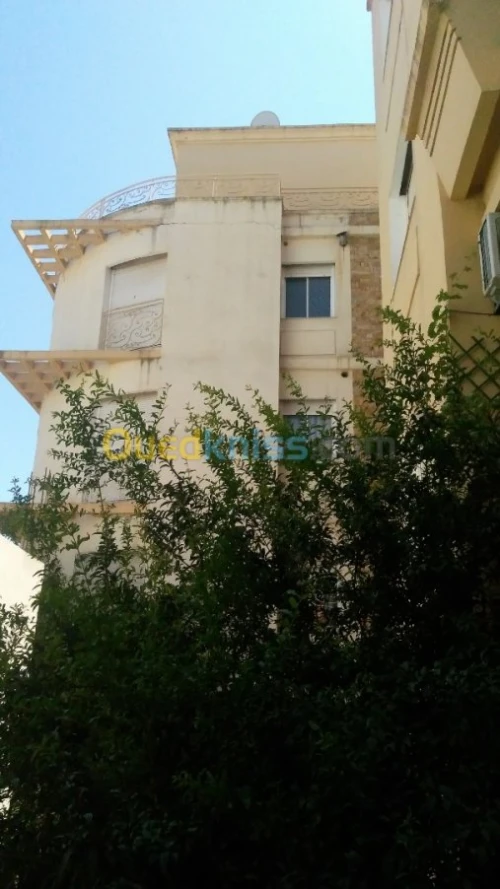 Location Appartement F3 Alger Dely brahim