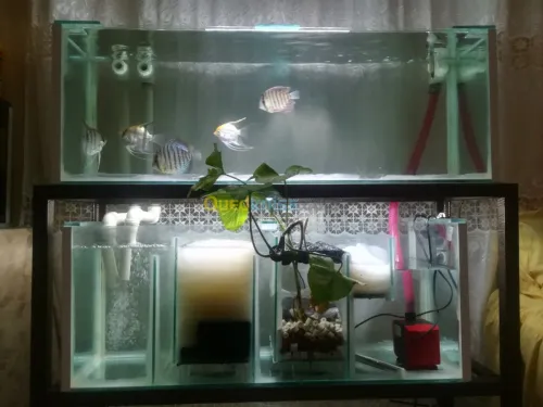 Fabrication des aquariums