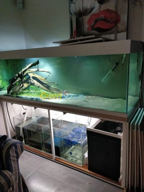 Fabrication des aquariums