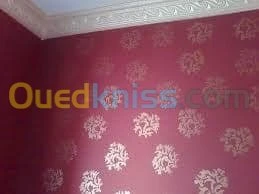 tout type de peinture batiment