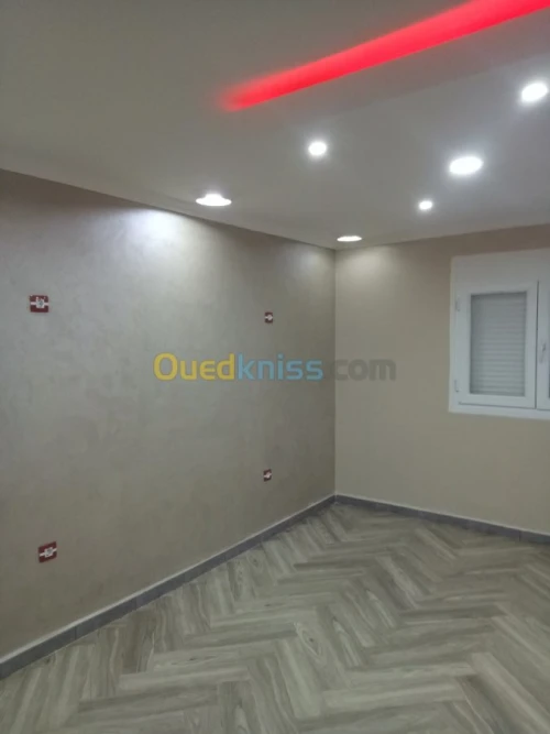 placoplatre peinture  et rénovation 