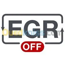 Fap adblue egr off programmation auto
