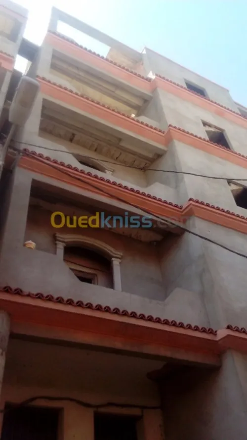 Revetement des façade et decoration 