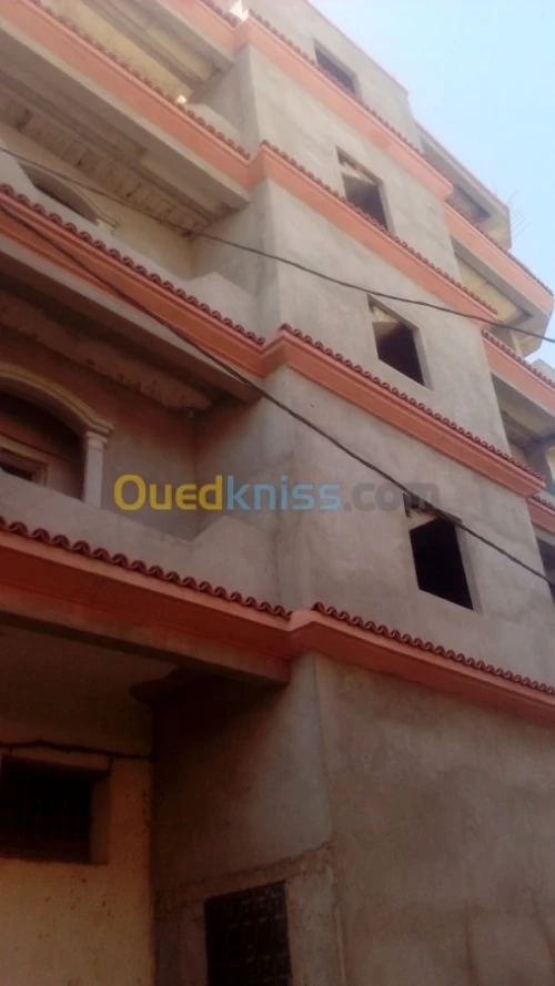 Revetement des façade et decoration 