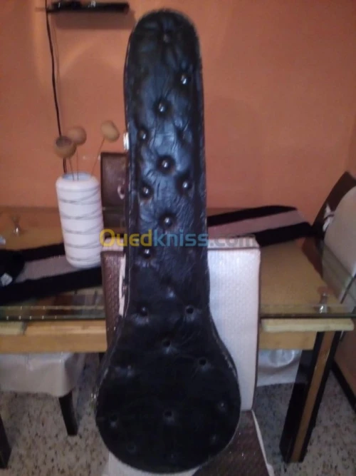 Vente Banjo Guitare très bon état !