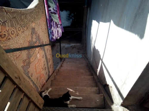 Vente Villa Blida Meftah