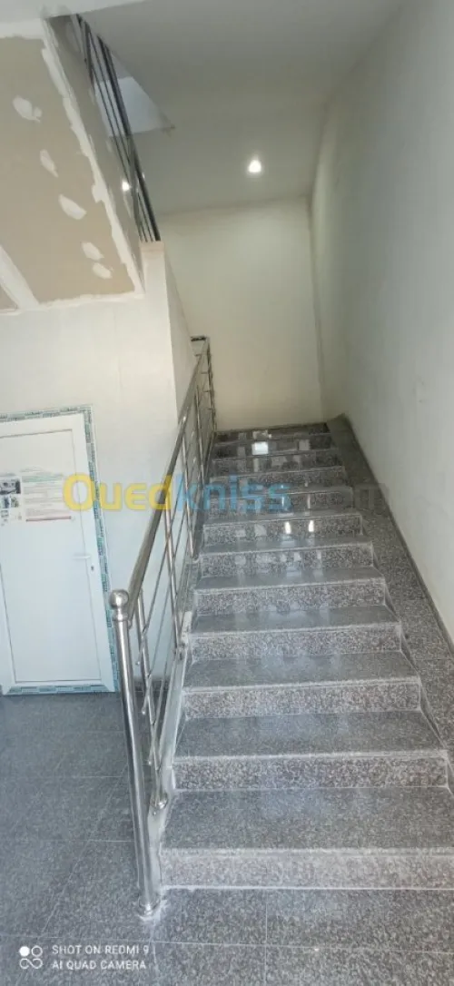 Rampe d'escalier inox et garde corps  
