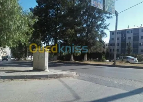 Conseil, Coaching et Formation 