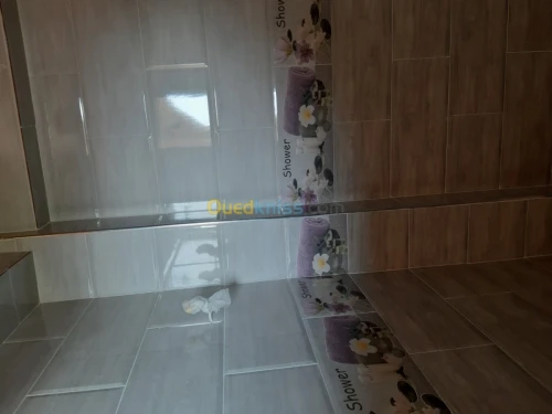 Maçon professionnel générale