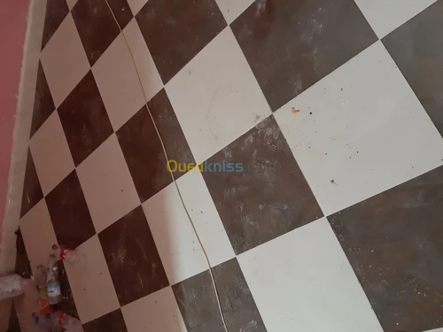 Maçon professionnel générale