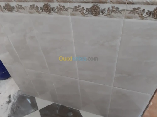 Maçon professionnel générale