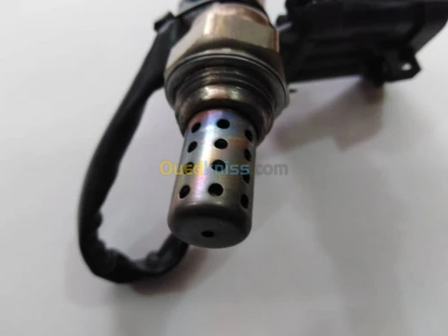 SONDE OXYGÈNE JMC GL ESSENCE GONOW ESS