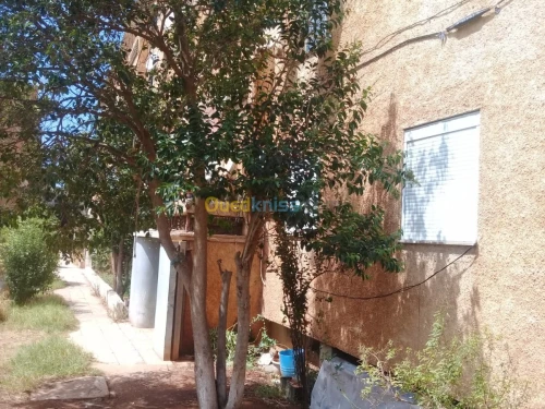 Vente Appartement F3 Alger Hammamet