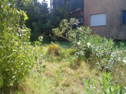 Vente Appartement F3 Alger Hammamet