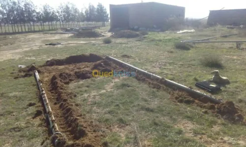 Vente Terrain Agricole Djelfa Benhar