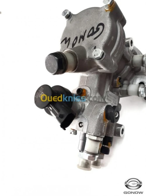 DOSEUR POMPE HP GONOW 1111300-E06-82