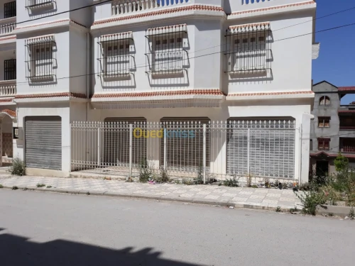 Vente Villa Mila Mila