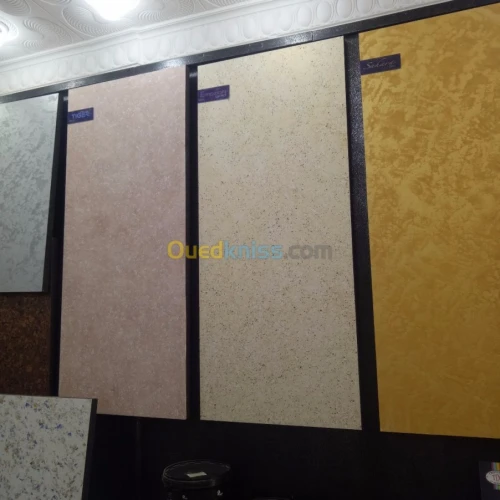 peinture et decoration interieur exter