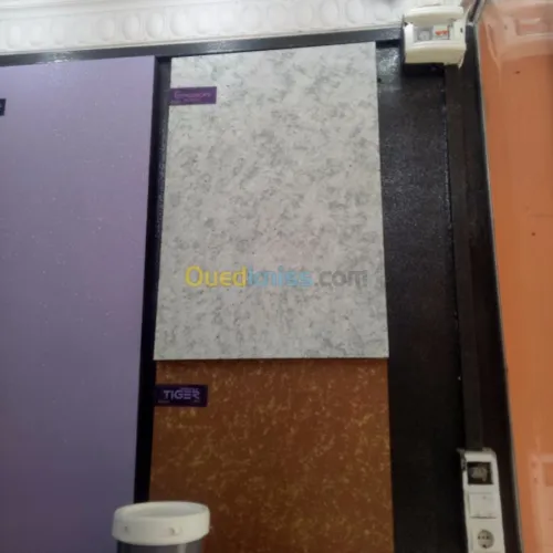 peinture et decoration interieur exter