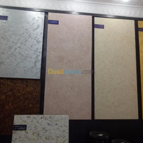 peinture et decoration interieur exter