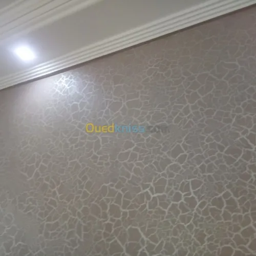 peinture et decoration interieur exter